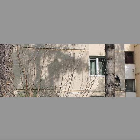 Maria'S Apartments Târgu-Mureş Екстериор снимка